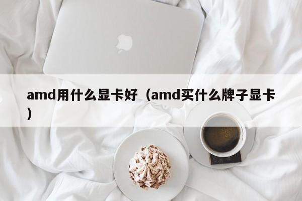 amd用什么显卡好（amd买什么牌子显卡）