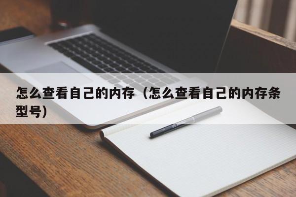 怎么查看自己的内存（怎么查看自己的内存条型号）
